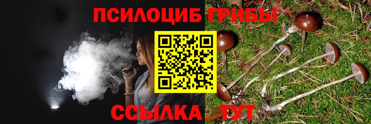 Псилоцибиновые грибы мицелий  Вход с VPN  Александров 